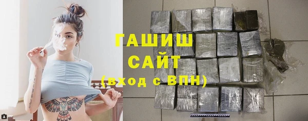 прущие грибы Вязьма
