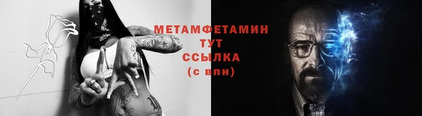 прущие грибы Вязьма
