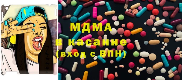 прущие грибы Вязьма