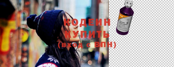 прущие грибы Вязьма