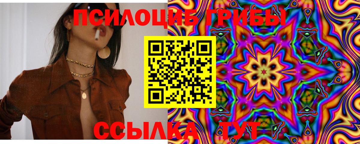 Псилоцибиновые грибы мухоморы Губкин